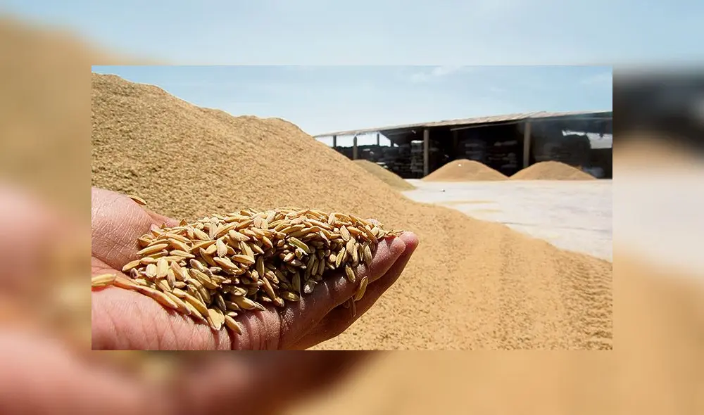 Afectados. En Arequipa los principales afectados son los productores de arroz debido a que proveedores de otras regiones ofrecen precios rebajados. Afectados. En Arequipa los principales afectados son los productores de arroz debido a que proveedores de otras regiones ofrecen precios rebajados.