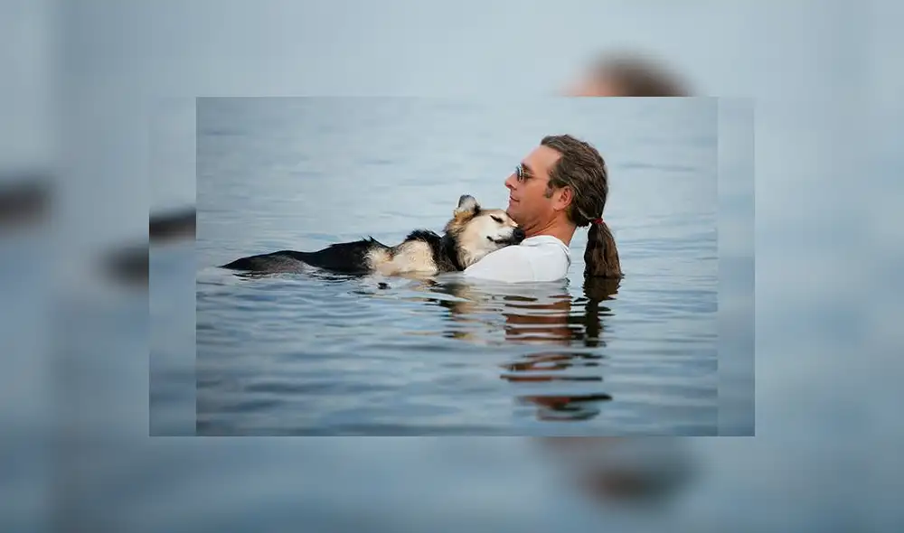 La ciencia explica por qué amamos tanto a nuestros perros La ciencia explica por qué amamos tanto a nuestros perros