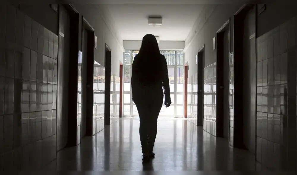 Aprueban dictamen sobre Ley de Salud Mental que prioriza a mujeres y niños Aprueban dictamen sobre Ley de Salud Mental que prioriza a mujeres y niños