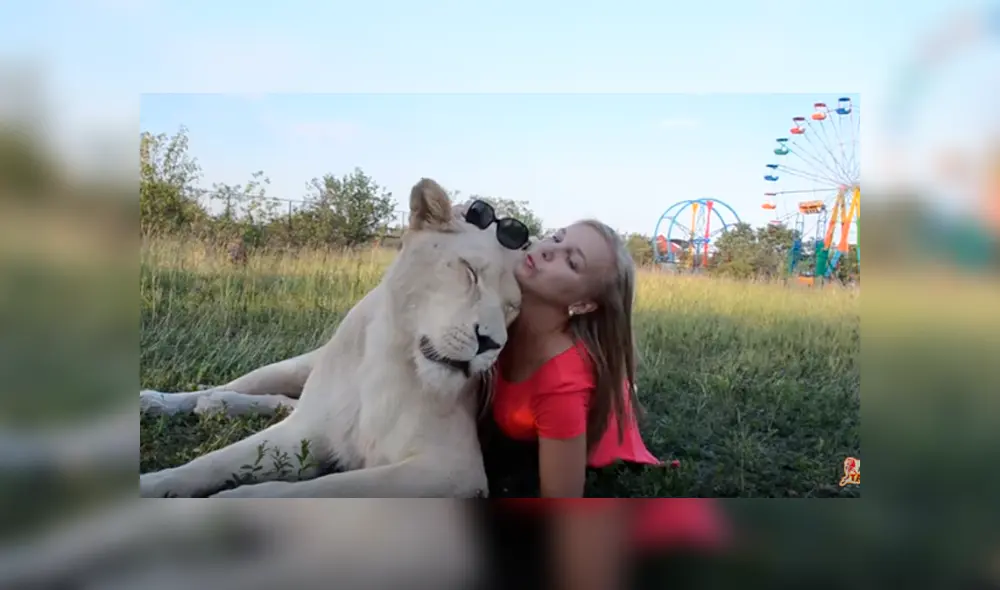 Desliza hacia la izquierda para ver las divertidas fotos que se tomó una mujer junto a la enorme leona en el zoológico y se ha vuelto viral en YouTube. Desliza hacia la izquierda para ver las divertidas fotos que se tomó una mujer junto a la enorme leona en el zoológico y se ha vuelto viral en YouTube.
