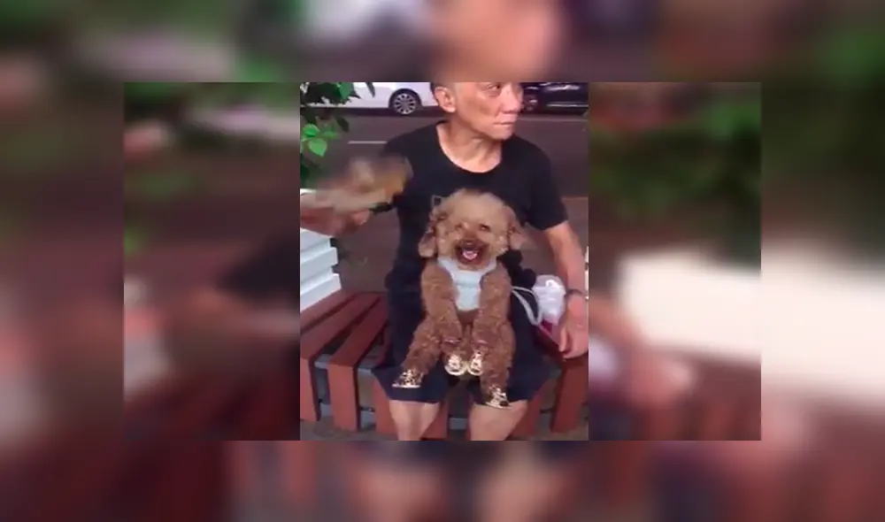 En Facebook, un hombre fue captado por su hija en emotiva escena tras negarse a cuidar a un perro.