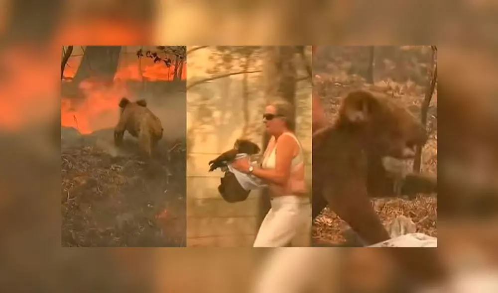 Incendios forestales, Australia Incendios forestales, Australia