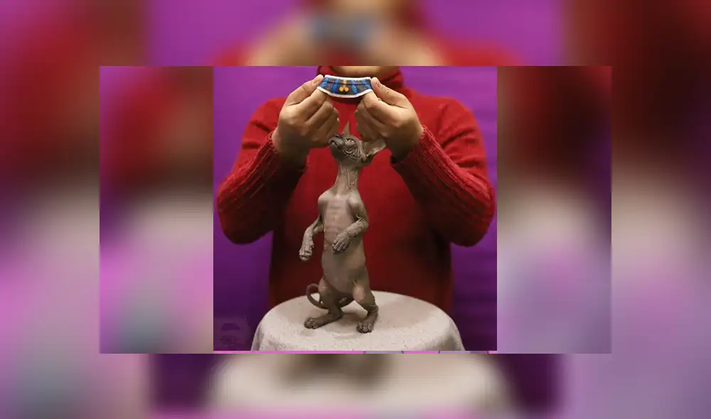 Desliza para ver el cosplay que sorprendió a los fans de Dragon Ball Super. Foto: Facebook / Anucha Saengchart.