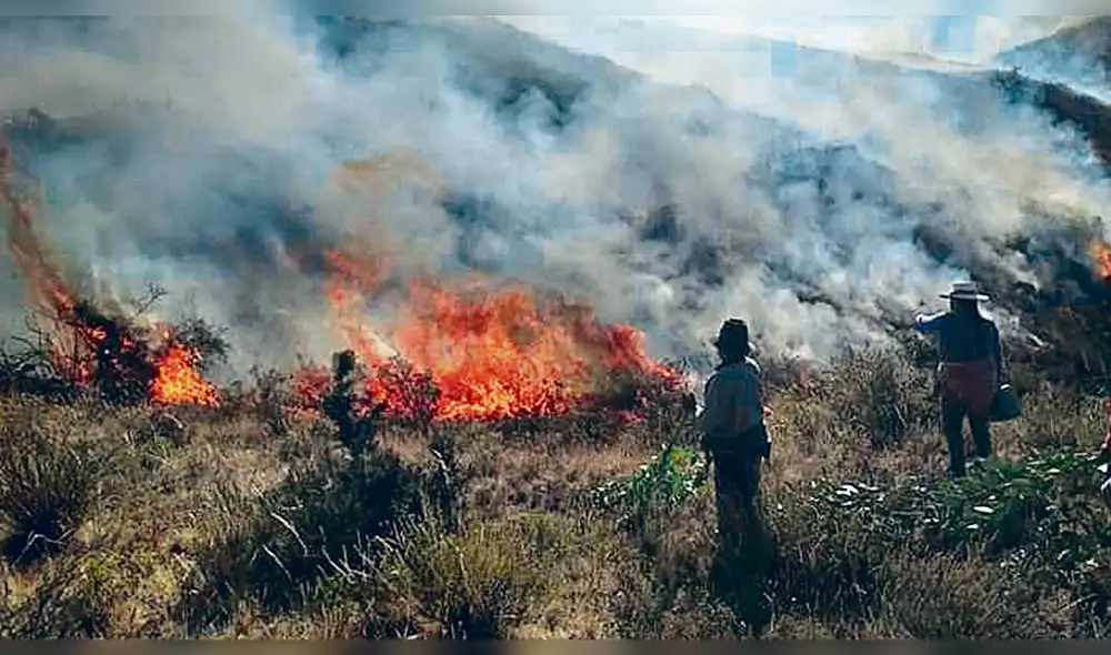 Incendios forestales Incendios forestales