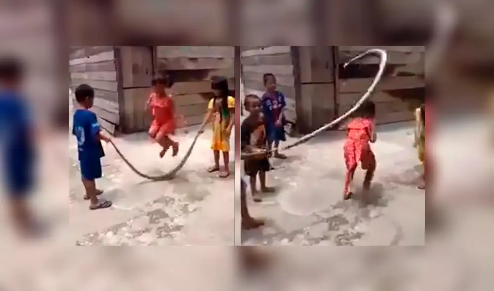 Grupo de niños fue grabado mientras se divertían en el popular juego de la cuerda con el cuerpo de una enorme serpiente. Video es viral en YouTube