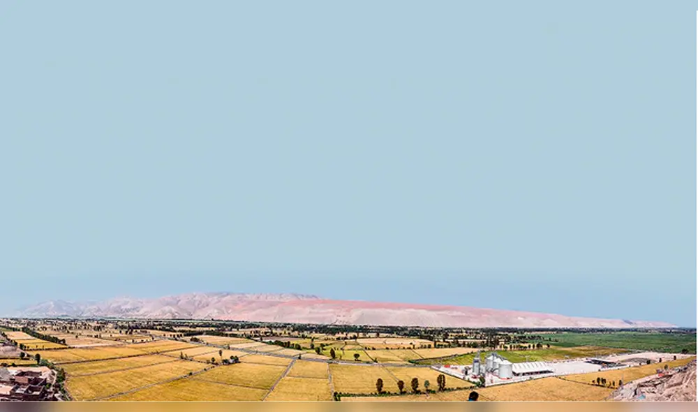 Tía María Tía María