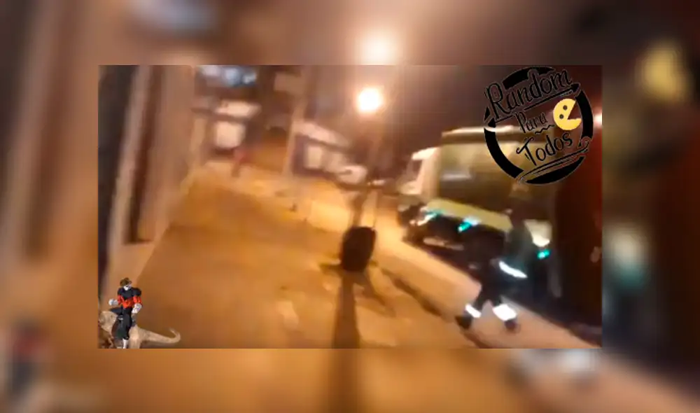 Facebook viral: mujer se mete en bolsa de basura y hace broma pesada a trabajador de limpieza [VIDEO]