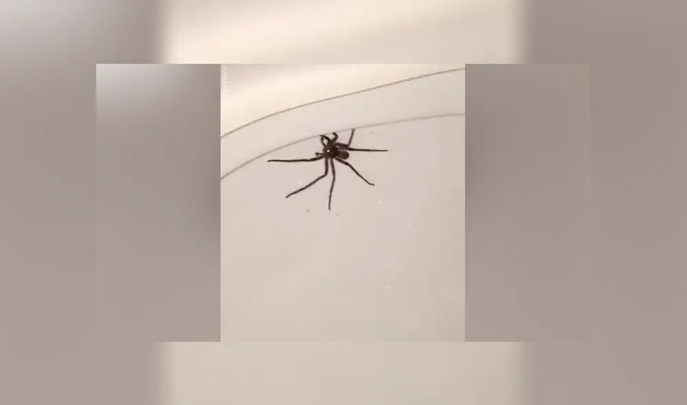 Desliza para ver los momentos más aterradores del video que se volvió viral en YouTube.