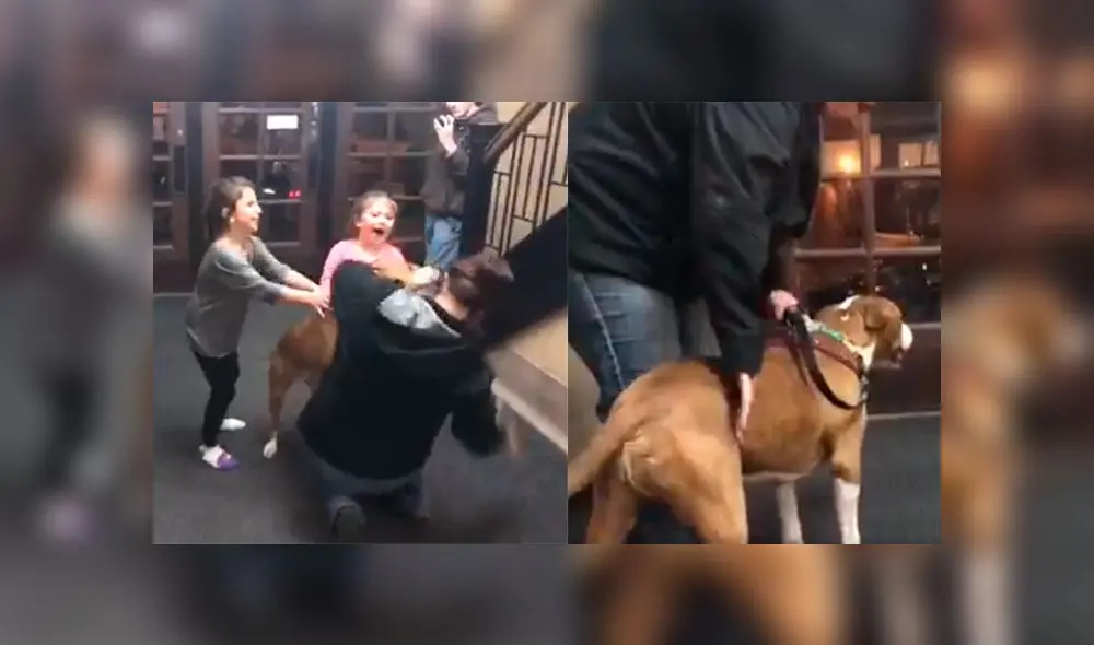 Desliza a la izquierda para ver esta tierna historia. Foto: Captura