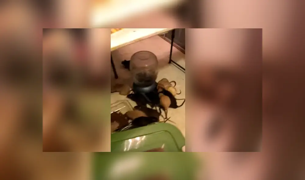 Desliza para ver los detalles del video viral de YouTube. Foto: Captura.