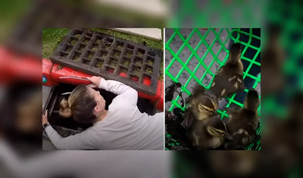 Desliza hacia la izquierda para ver el conmovedor rescate que se volvió viral en Facebook. Desliza hacia la izquierda para ver el conmovedor rescate que se volvió viral en Facebook.