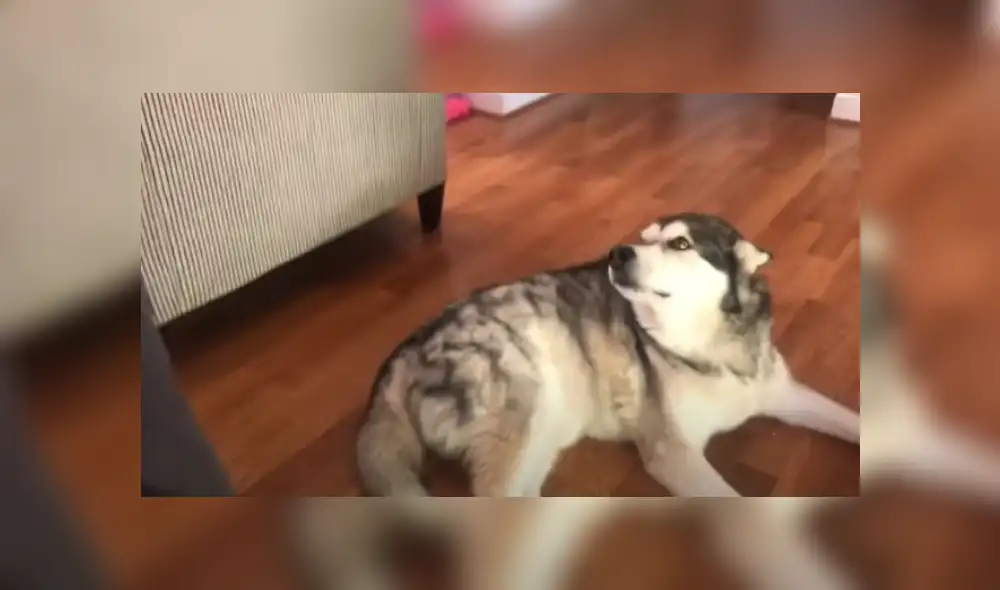 Desliza hacia la izquierda para ver más del video viral Desliza hacia la izquierda para ver más del video viral