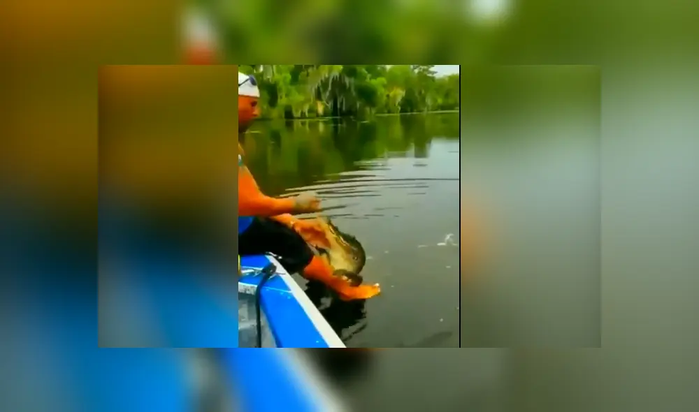 Desliza hacia la izquierda para ver la reacción que tuvo un cocodrilo al recibir sus alimentos, hecho que se viralizó en Facebook.