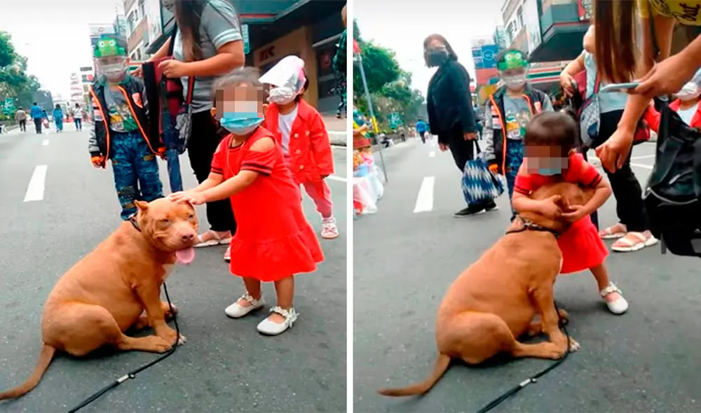 Desliza las imágenes para ver la tierna escena que protagonizó una pequeña al abrazar a un perro que conoció en la calle. Foto: captura de YouTube