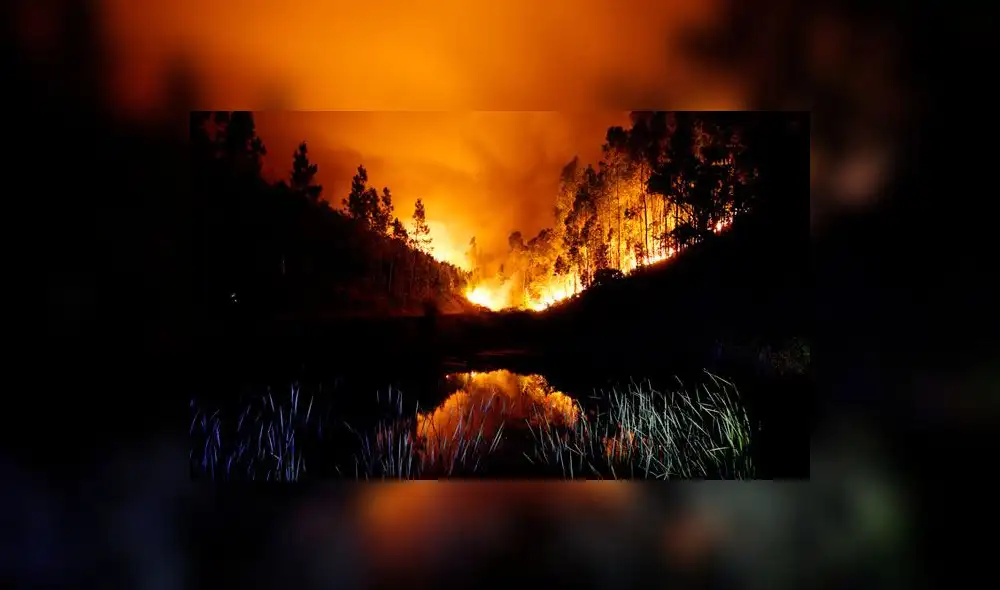 Incendio forestal en Portugal: cifra de muertos aumenta a 62 