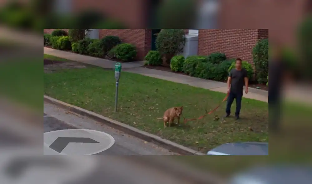 Google Maps: capta a hombre en curiosa escena con su perro cuando recorre calle de EE.UU [FOTOS]
