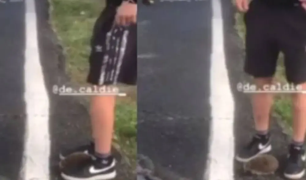 Tres jóvenes jugaron al fútbol con un erizo en plena calle. Foto: Captura Tres jóvenes jugaron al fútbol con un erizo en plena calle. Foto: Captura