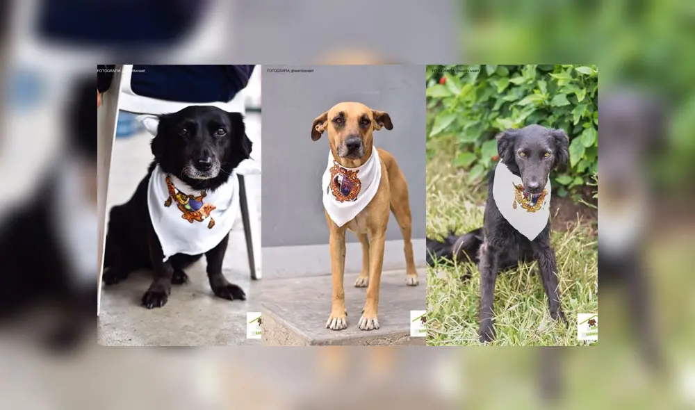 Fotos: Gala Galecio @wantlovaart