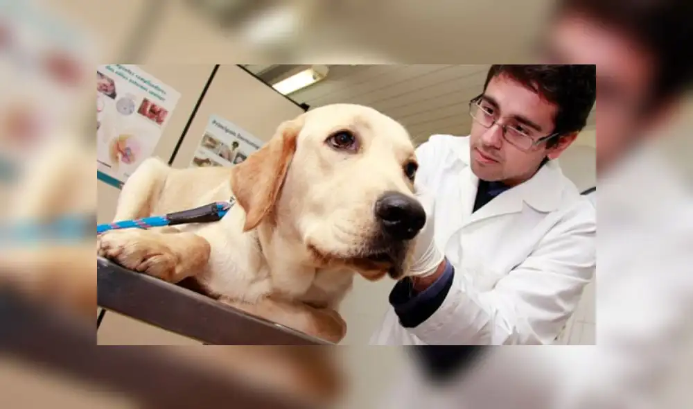 Foto: Difusión. Foto: Difusión.