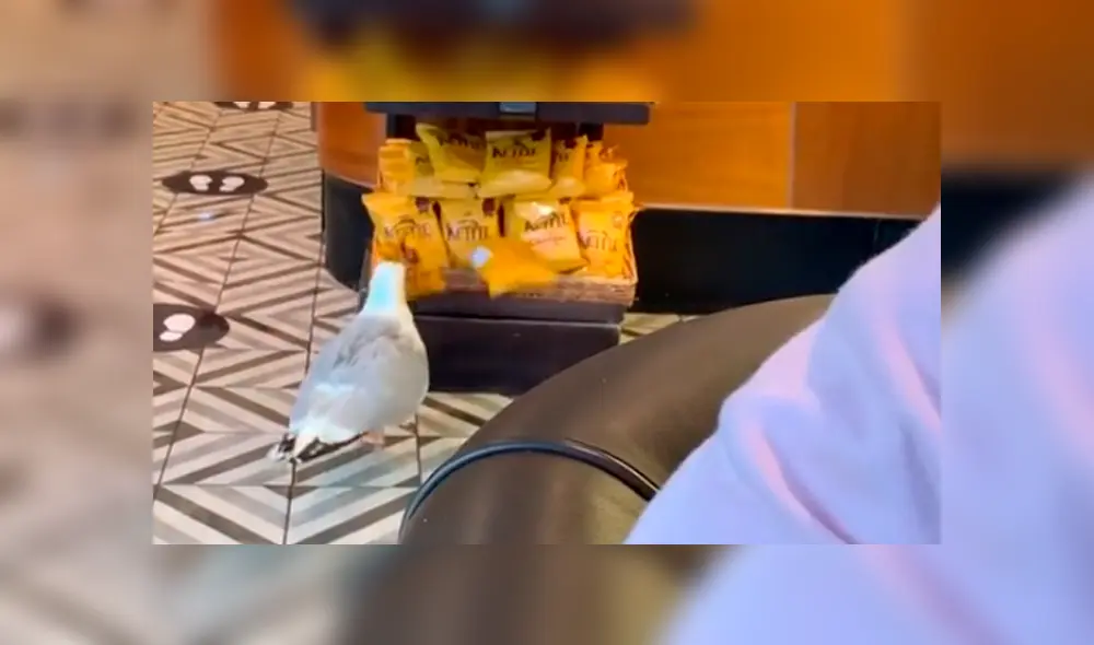 Desliza la imagen para verlas todas. Foto:  kerricoo1991 / TikTok