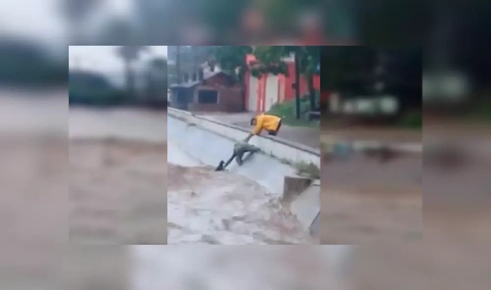 En YouTube, un chico se lanzó a un peligroso río para salvar a un perro callejero que suplicaba por ayuda. En YouTube, un chico se lanzó a un peligroso río para salvar a un perro callejero que suplicaba por ayuda.