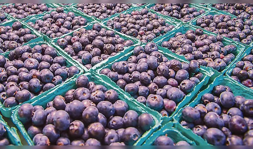 Agroexportación en La Libertad crece 20 % al año