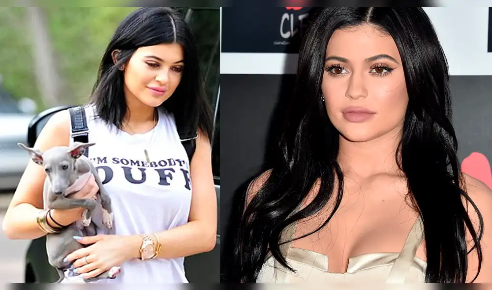 Kylie Jenner presume lujosa casa para sus perros [VIDEO]