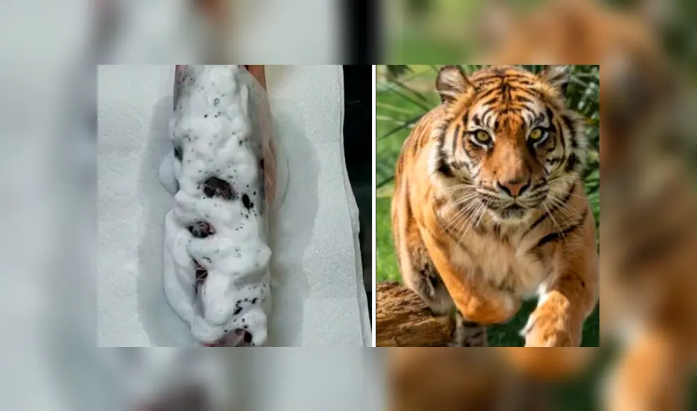 Desliza cada imagen de Facebook que muestra el resultados del tatuaje que se hizo un joven en el brazo. Desliza cada imagen de Facebook que muestra el resultados del tatuaje que se hizo un joven en el brazo.