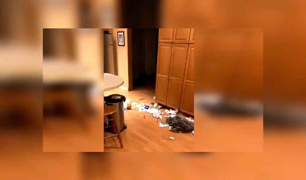 El can desató miles de carcajadas en Facebook con su gracioso comportamiento al ver a su dueño llegando a casa