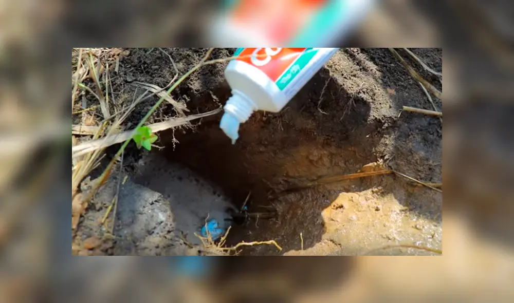 Desliza hacia la izquierda para ver el hallazgo que hizo un pescador y se volvió viral en YouTube.