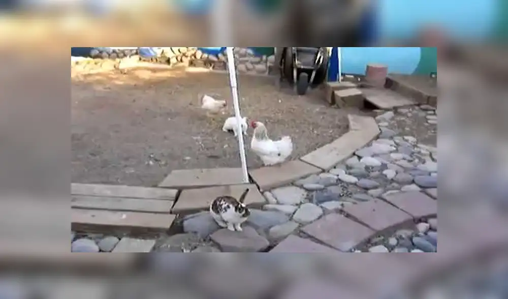 Desliza para ver los detalles del video viral publicado en YouTube. Foto: Captura.