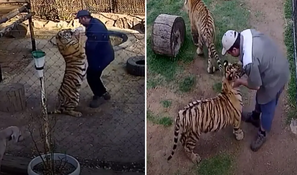 Desliza las imágenes para ver más detalles sobre esta conmovedora historia que es viral en redes sociales. Foto: captura de YouTube