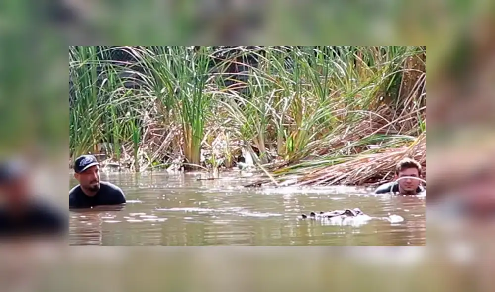 Dos jóvenes quedaron cara a cara con un enorme cocodrilo.