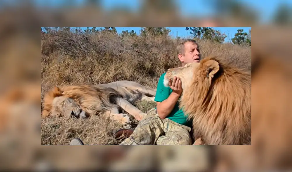 Desliza hacia la izquierda para ver la reacción de león que se volvió viral en YouTube.