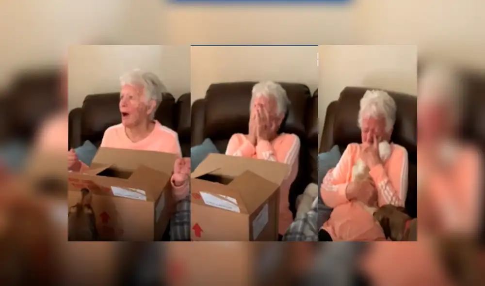 Facebook viral: mujer le regala cachorro a su madre y anciana tiene dramática reacción al verlo