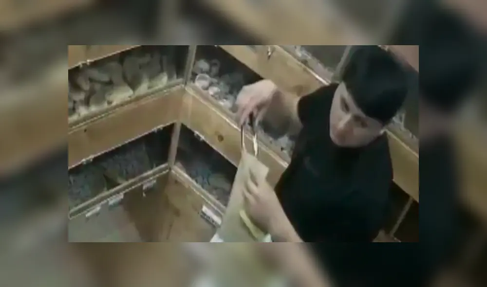 Robo en Independencia