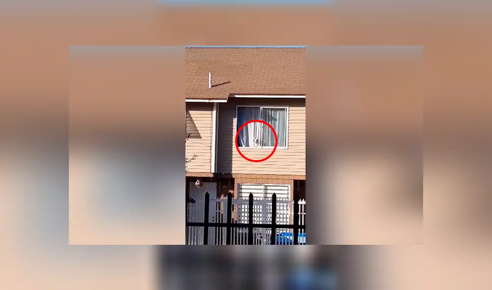 Desliza las imágenes para observar la travesura que cometió una perrita tras escapar de su casa por unas horas. Desliza las imágenes para observar la travesura que cometió una perrita tras escapar de su casa por unas horas.