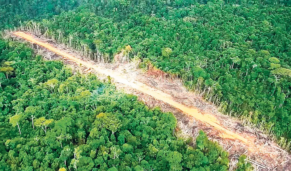 El dato. Imagen reciente de una pista clandestina construida por los narcotraficantes en Padre Abad, Ucayali, para despachar droga a Bolivia o Brasil. Foto: difusión El dato. Imagen reciente de una pista clandestina construida por los narcotraficantes en Padre Abad, Ucayali, para despachar droga a Bolivia o Brasil. Foto: difusión