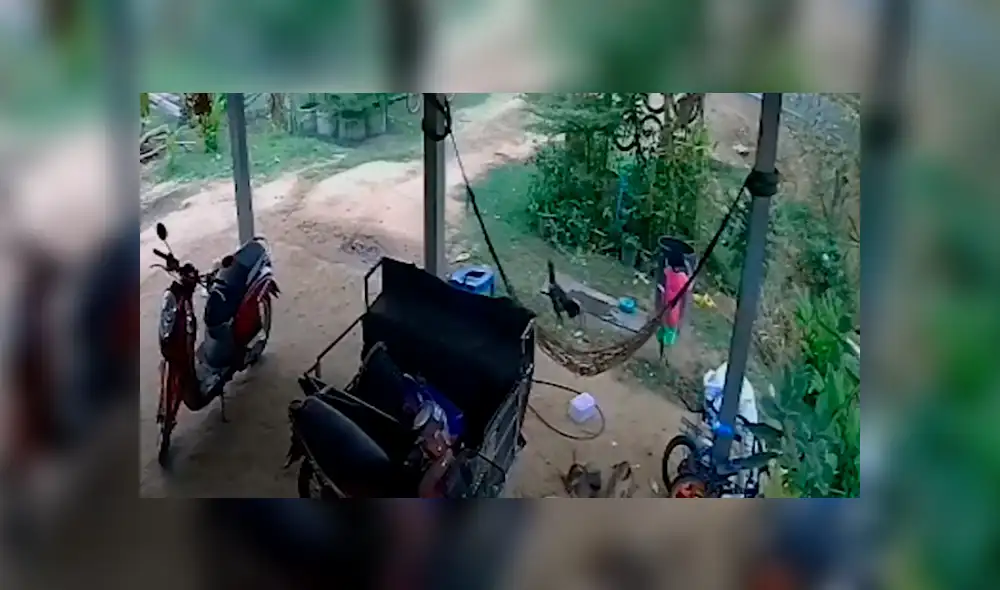 Desliza para ver los detalles del video viral publicado en YouTube. Foto: Captura.