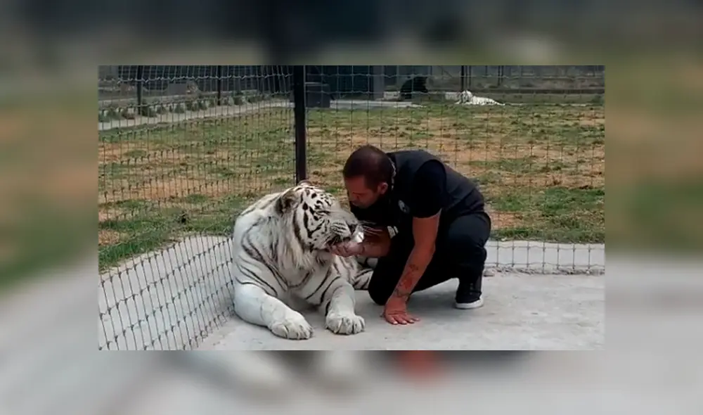 Desliza hacia la izquierda para ver las imágenes del viral de YouTube. Desliza hacia la izquierda para ver las imágenes del viral de YouTube.