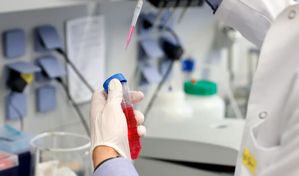 Foto: Ronald Wittek / EFE Foto: Ronald Wittek / EFE