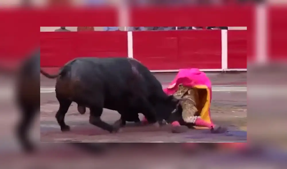 En YouTube, torero sufrió brutal cornada en el cuello, pero regresó al ruedo para matar al toro [VIDEO]