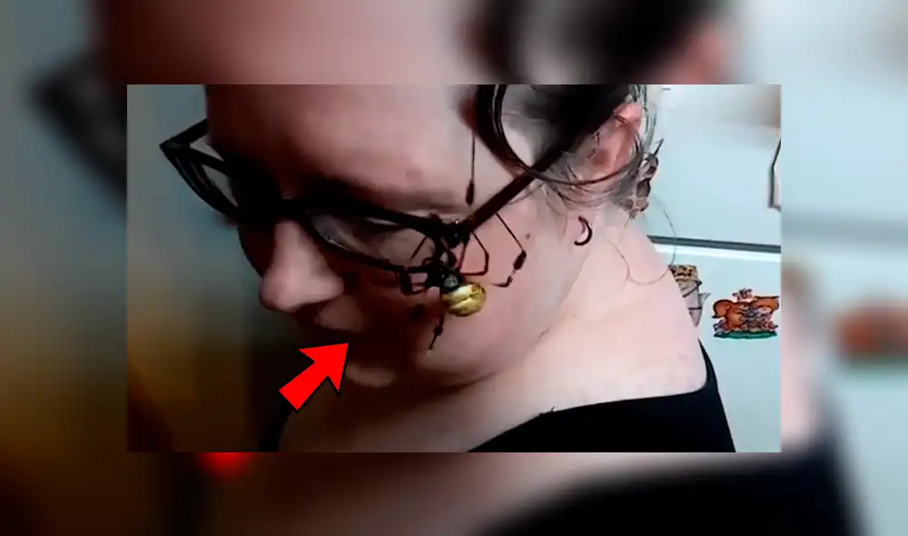 Facebook viral: retan para que joven coloque peligrosa araña en su rostro y sucede lo inesperado [VIDEO]