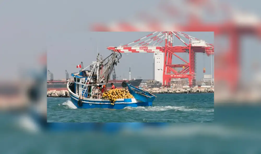 En isla Las Hormigas será instalado sistema de alerta contra sismos En isla Las Hormigas será instalado sistema de alerta contra sismos