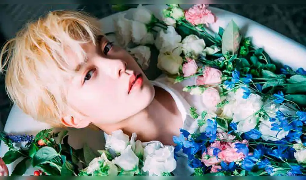 Hanseol es una estrella K-pop de 25 años, rapero y vocalista del grupo  NewKidd.