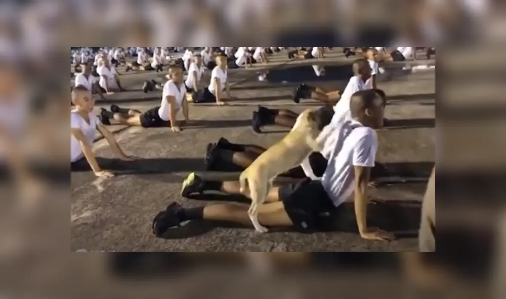 Video es viral en TikTok. El can ingresó a la sesión de ejercicios que realizaba un grupo de cadetes e intentó jugar con uno de ellos. Fotocaptura: YouTube