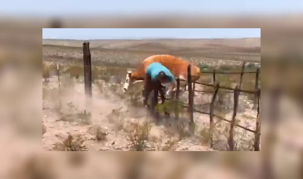 Desliza para ver las imágenes compartidas en YouTube.