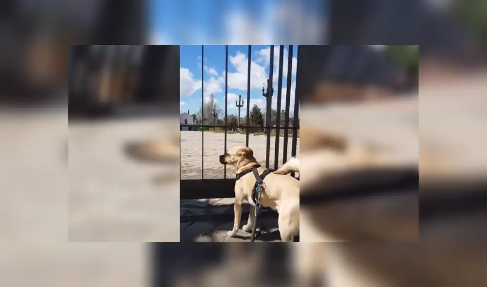 Desliza para ver los detalles del video viral publicado en Facebook. Foto: Captura.