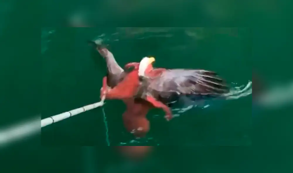 Desliza para ver los detalles de este video viral de YouTube. Foto: Captura. Desliza para ver los detalles de este video viral de YouTube. Foto: Captura.