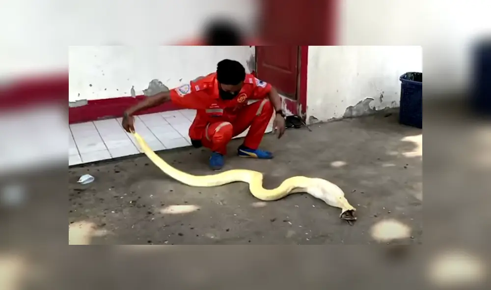 Desliza hacia la izquierda para ver las imágenes del viral de YouTube.